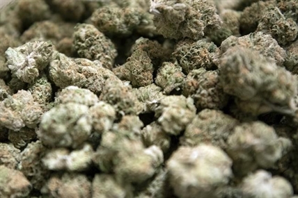 427 seek prequalification for Vermont retail cannabis market | iNFOnews.ca