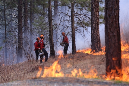 Controlled burns well under way | iNFOnews.ca Controlled burns well under way | iNFOnews.ca