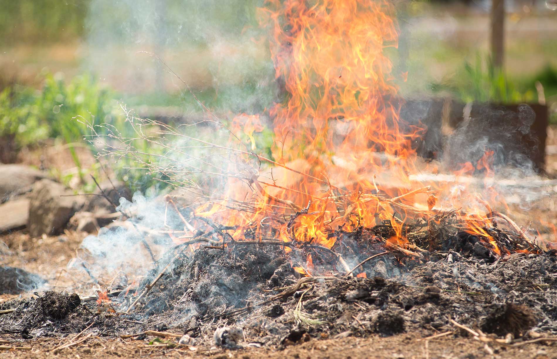 Time to clean up the yard! | iNFOnews.ca Time to clean up the yard! | iNFOnews.ca