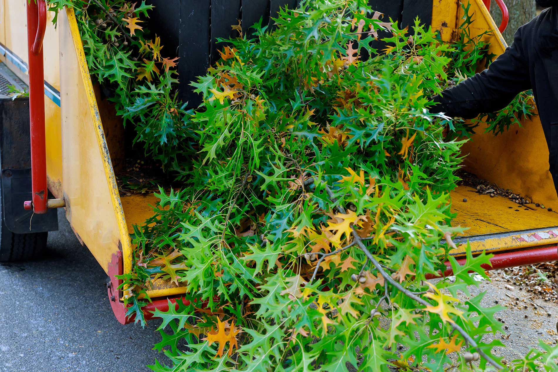 Time to clean up the yard! | iNFOnews.ca Time to clean up the yard! | iNFOnews.ca