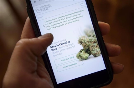 Pot shop sales data breach could shift competition in market, alter confidence in OCS | iNFOnews.ca Pot shop sales data breach could shift competition in market, alter confidence in OCS | iNFOnews.ca