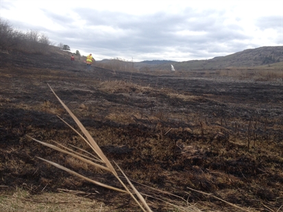 Grass fire spreads quickly above Swan Lake | iNFOnews.ca