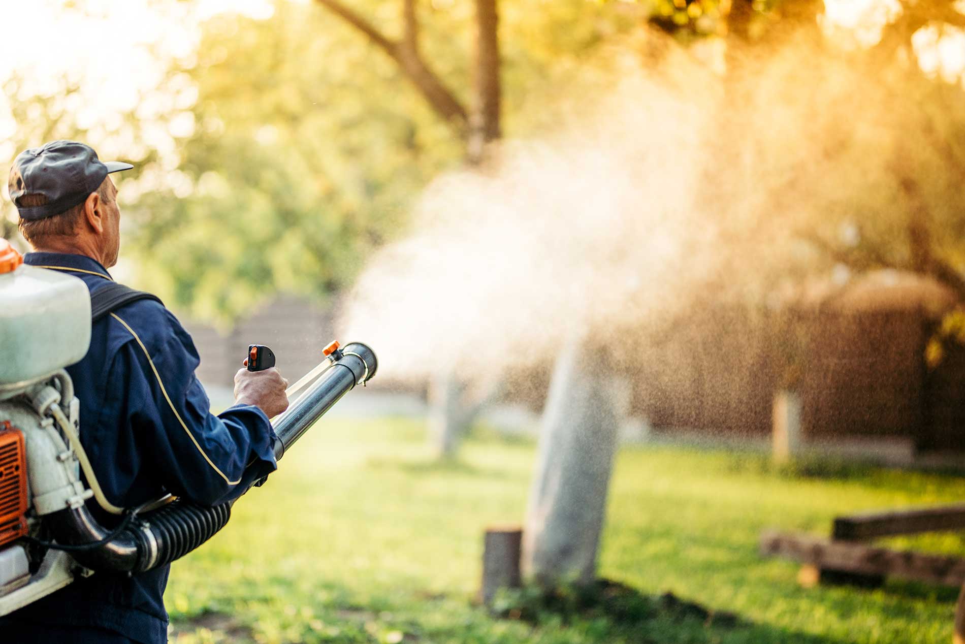 Summer is Coming – It’s Time for Tree Pruning, Spraying & Root Fertilizing | iNFOnews.ca