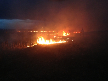 Firefighters burn for practice | iNFOnews.ca