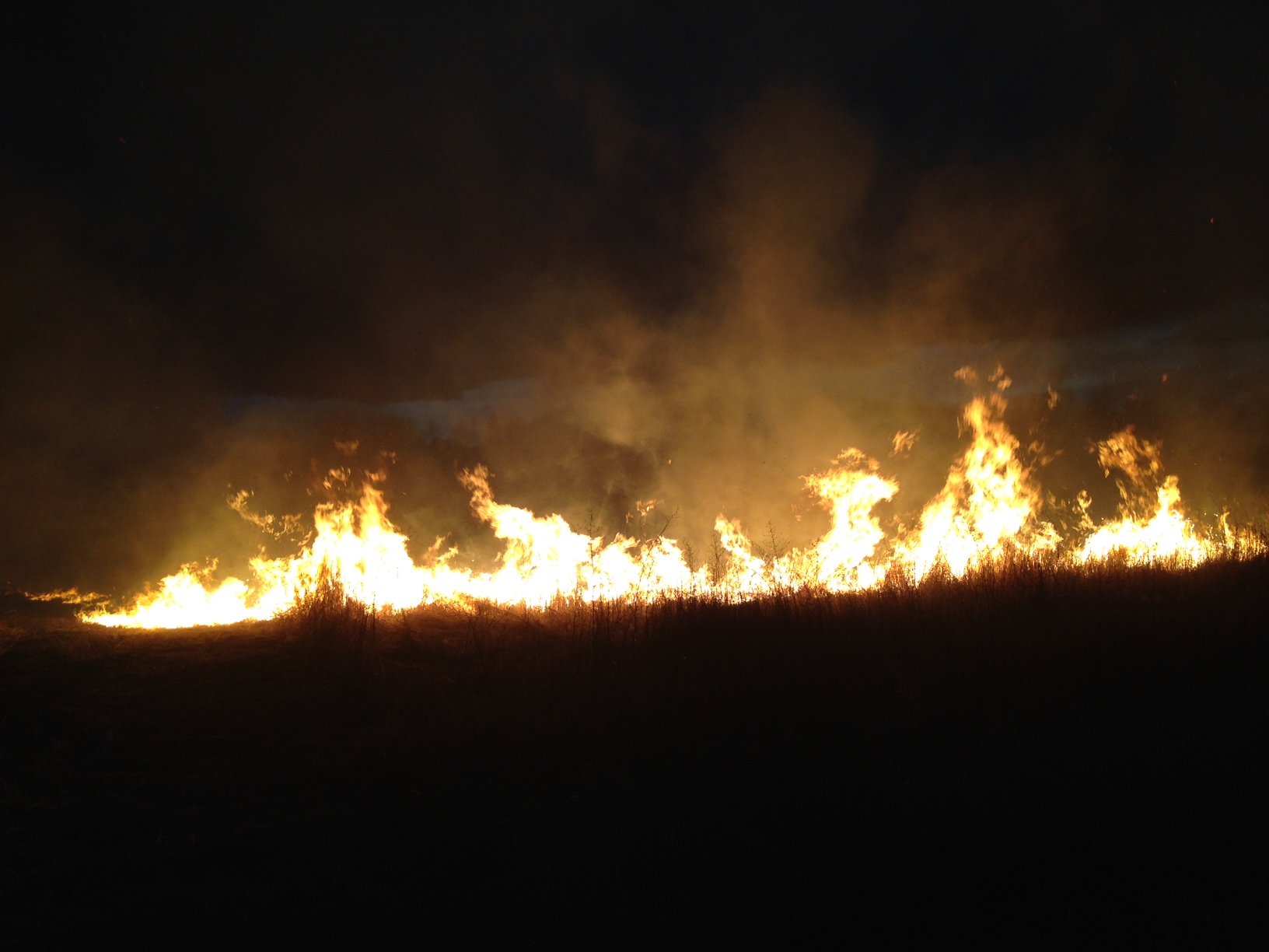 Firefighters burn for practice | iNFOnews.ca