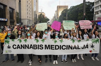 Brazil court approves home grown cannabis for medical use | iNFOnews.ca
