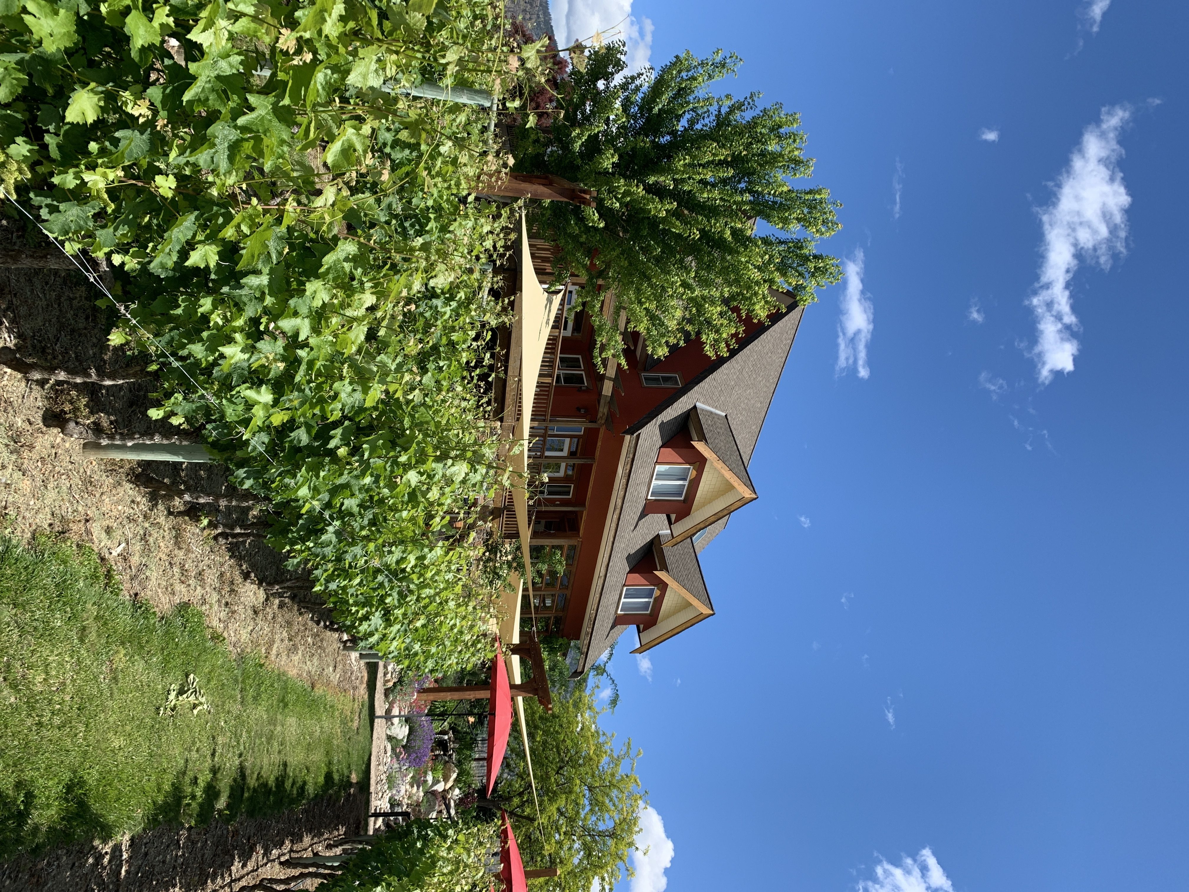 Sip wine and enjoy the view in this South Okanagan winery's beautiful garden | iNFOnews.ca