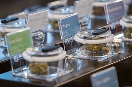 One third of Canada's budtenders hired in the last year already left their job: study | iNFOnews.ca One third of Canada's budtenders hired in the last year already left their job: study | iNFOnews.ca