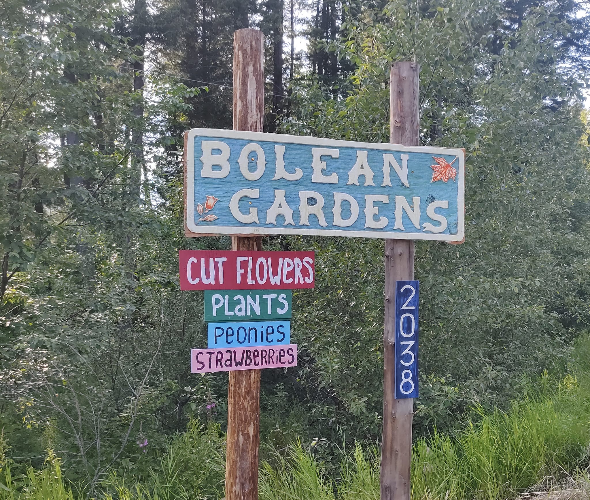 iN PHOTOS: Botanic gardens open for tours in Falkland this summer | iNFOnews.ca iN PHOTOS: Botanic gardens open for tours in Falkland this summer | iNFOnews.ca
