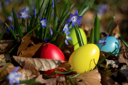 Five fun things to do this Easter weekend | iNFOnews.ca