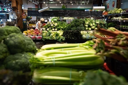 Grocery prices in Canada continue meteoric ascent, rising at fastest pace since 1981 | iNFOnews.ca