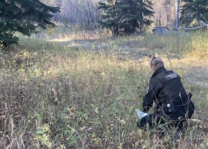 RCMP in northeastern B.C. kill bear that attacked, critically injuring two women | iNFOnews.ca