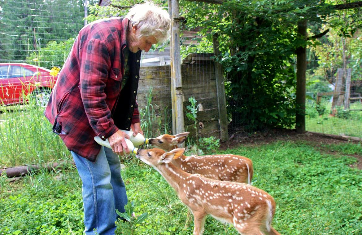 Kootenay woman's legacy of wildlife rescues captured through documentary | iNFOnews.ca