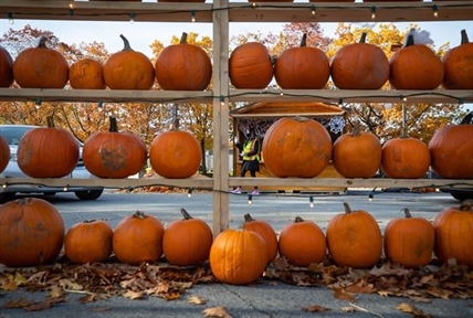 B.C. drought benefits some farmers, extending harvest and reducing rot | iNFOnews.ca