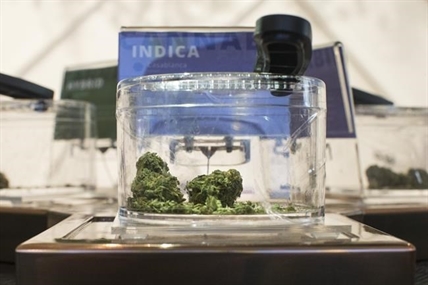 Uber Eats to process cannabis deliveries in Toronto through new Leafly partnership | iNFOnews.ca Uber Eats to process cannabis deliveries in Toronto through new Leafly partnership | iNFOnews.ca