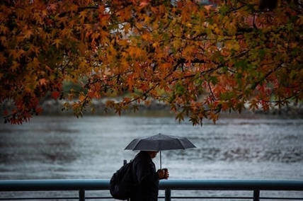 At last, rain in Vancouver and elsewhere, but much more needed to break B.C. drought | iNFOnews.ca
