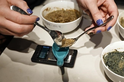 Colorado voters decriminalize psychedelic mushrooms | iNFOnews.ca