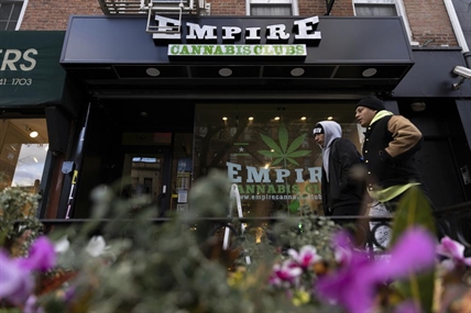 New York hasn't licensed any pot shops, yet they abound | iNFOnews.ca