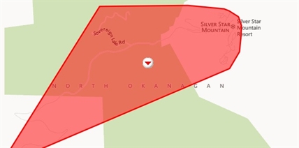 Fallen tree cause of overnight power outage | iNFOnews.ca