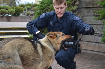 Riding along with the RCMP police dog unit | iNFOnews.ca