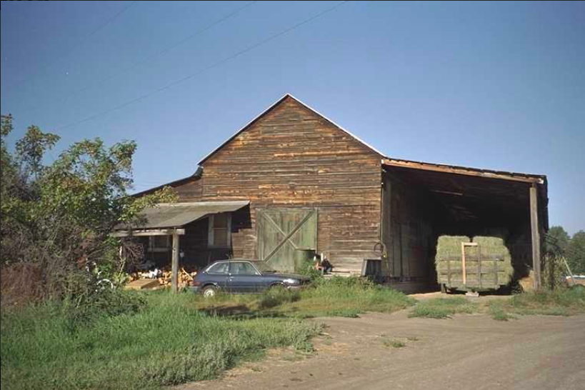 iN PHOTOS: Why tobacco failed to be the Okanagan's biggest crop | iNFOnews.ca