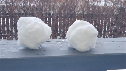 Milwaukee man given 16 years for shooting at kids throwing snowballs | iNFOnews.ca