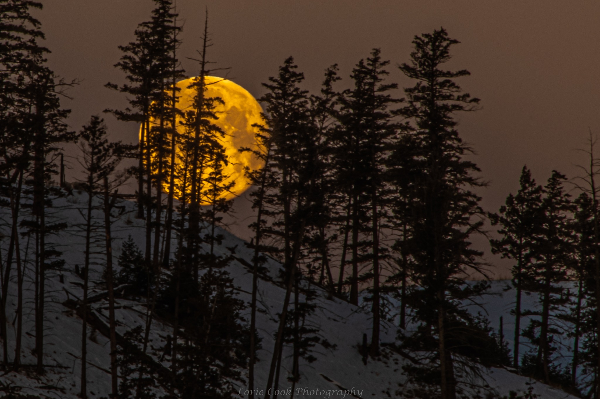 iN PHOTOS: Full moon shines bright over Kamloops, Okanagan | iNFOnews.ca