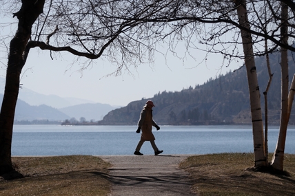 iN PHOTOS: After a century of damage, Okanagan nation caretakers restoring Trout Creek | iNFOnews.ca