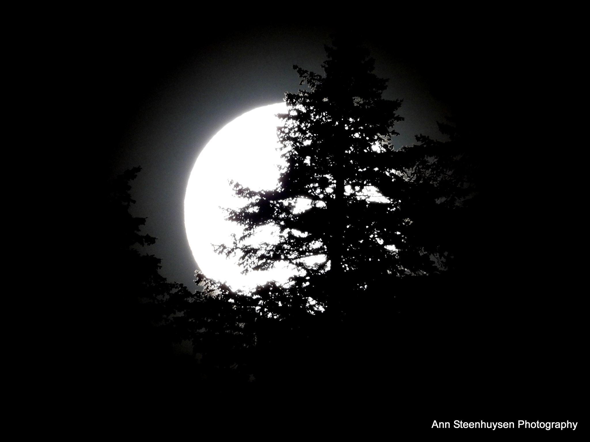 Stunning captures of Pink Moon over Kamloops, Okanagan | iNFOnews.ca