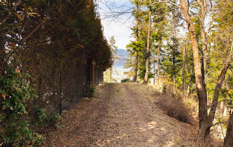 iN PHOTOS: This 16-foot-wide Okanagan lakefront lot on sale for $1 million | iNFOnews.ca