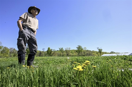 Slow start to New York's legal pot market leaves farmers holding the bag | iNFOnews.ca Slow start to New York's legal pot market leaves farmers holding the bag | iNFOnews.ca