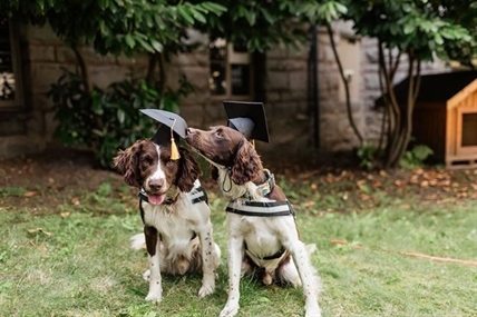 Dogs trained to detect potentially deadly superbug at B.C. hospitals | iNFOnews.ca