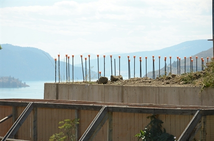 Breaking the rules: Vernon council approves pool permits after the fact | iNFOnews.ca Breaking the rules: Vernon council approves pool permits after the fact | iNFOnews.ca