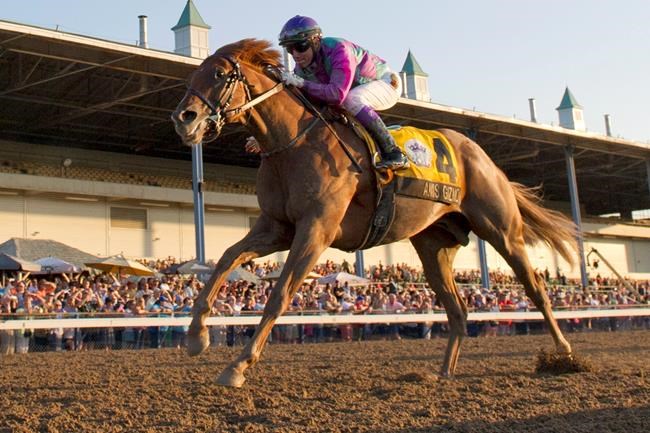 Contreras takes Amis Gizmo to commanding win in Prince of Wales Stakes | iNFOnews.ca