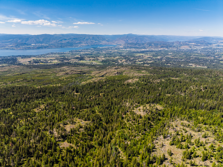 BC Parks Foundation needs $800K to save piece of Myra-Bellevue park near Kelowna from development | iNFOnews.ca