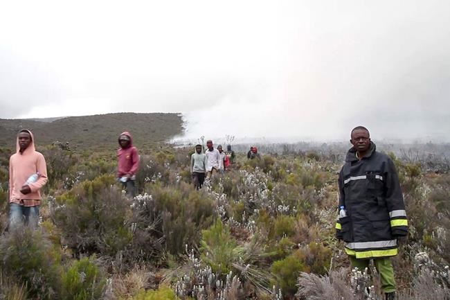 500 volunteers fighting fire on Africa's tallest mountain | iNFOnews.ca 500 volunteers fighting fire on Africa's tallest mountain | iNFOnews.ca