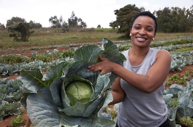 'Can you dig it?' Africa reality show draws youth to farming | iNFOnews.ca 'Can you dig it?' Africa reality show draws youth to farming | iNFOnews.ca