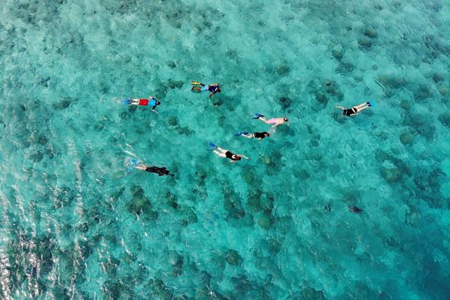 Seychelles swaps debt for groundbreaking marine protection | iNFOnews.ca