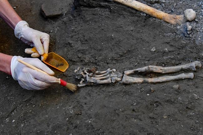 Dig at Italy's Pompeii volcanic site yields 5 skeletons | iNFOnews.ca Dig at Italy's Pompeii volcanic site yields 5 skeletons | iNFOnews.ca