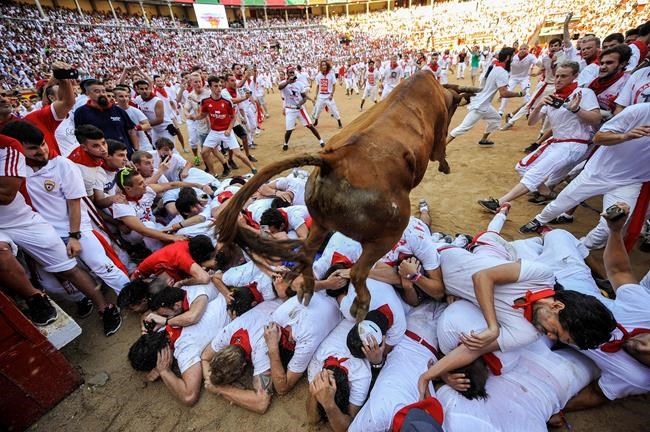 1 dead from bull-run goring in Alicante; 2 gored in Pamplona | iNFOnews.ca 1 dead from bull-run goring in Alicante; 2 gored in Pamplona | iNFOnews.ca