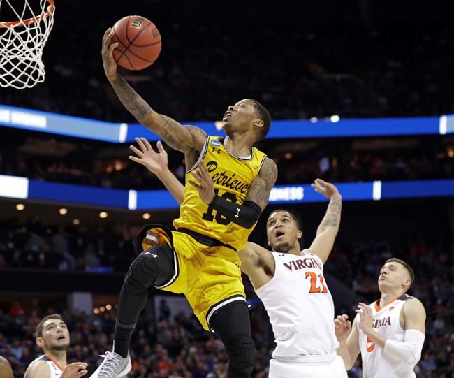 Bark Bracket: Retrievers become top dogs, boosted by UMBC | iNFOnews.ca