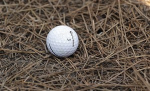 US Open has a different look but a similar reputation at Pinehurst No. 2 | iNFOnews.ca CP28726500