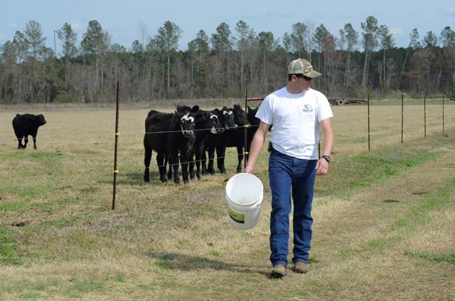 US wholesale inflation slid in March as energy prices fell | iNFOnews.ca CP845868954