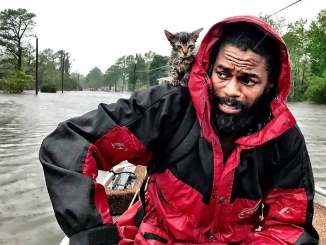 Kitten named Survivor clings to owner amid flood rescue | iNFOnews.ca Kitten named Survivor clings to owner amid flood rescue | iNFOnews.ca