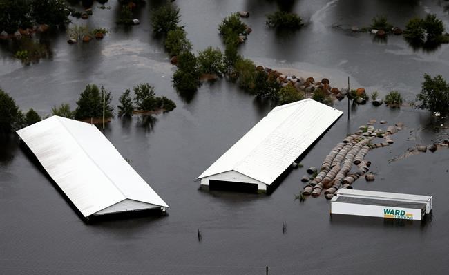 WHAT'S HAPPENING: What will life be like after Florence? | iNFOnews.ca WHAT'S HAPPENING: What will life be like after Florence? | iNFOnews.ca