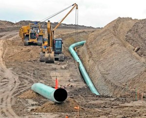 CP1126481197
