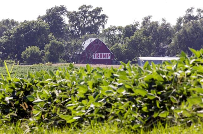 Farmers prefer Trump do trade deals than hand them cash | iNFOnews.ca
