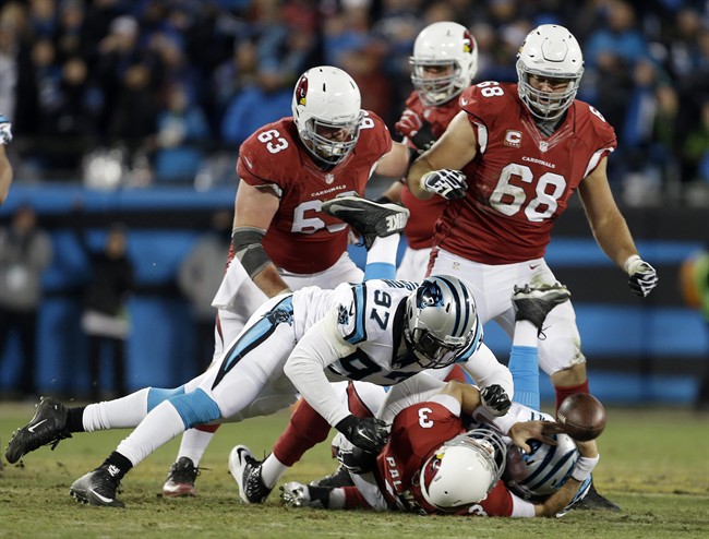 Newton, Panthers rout Cardinals, 49-15 for NFC title | iNFOnews.ca CP36137839
