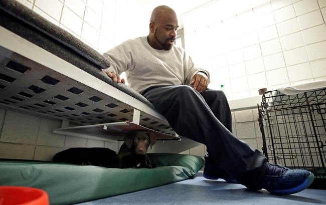 Inmates battling addiction get an unlikely ally: A puppy | iNFOnews.ca