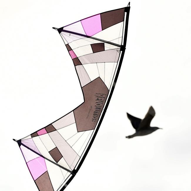 NJ kite runner dominates sport worldwide | iNFOnews.ca NJ kite runner dominates sport worldwide | iNFOnews.ca